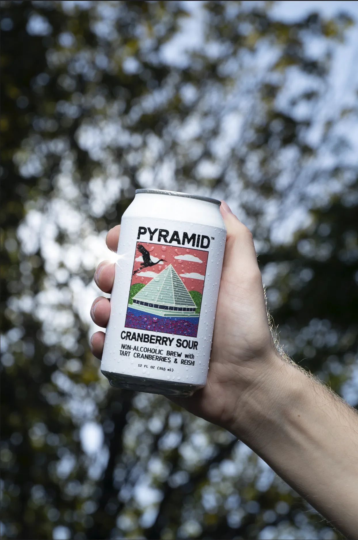 Pyramid Cranberry Sour can